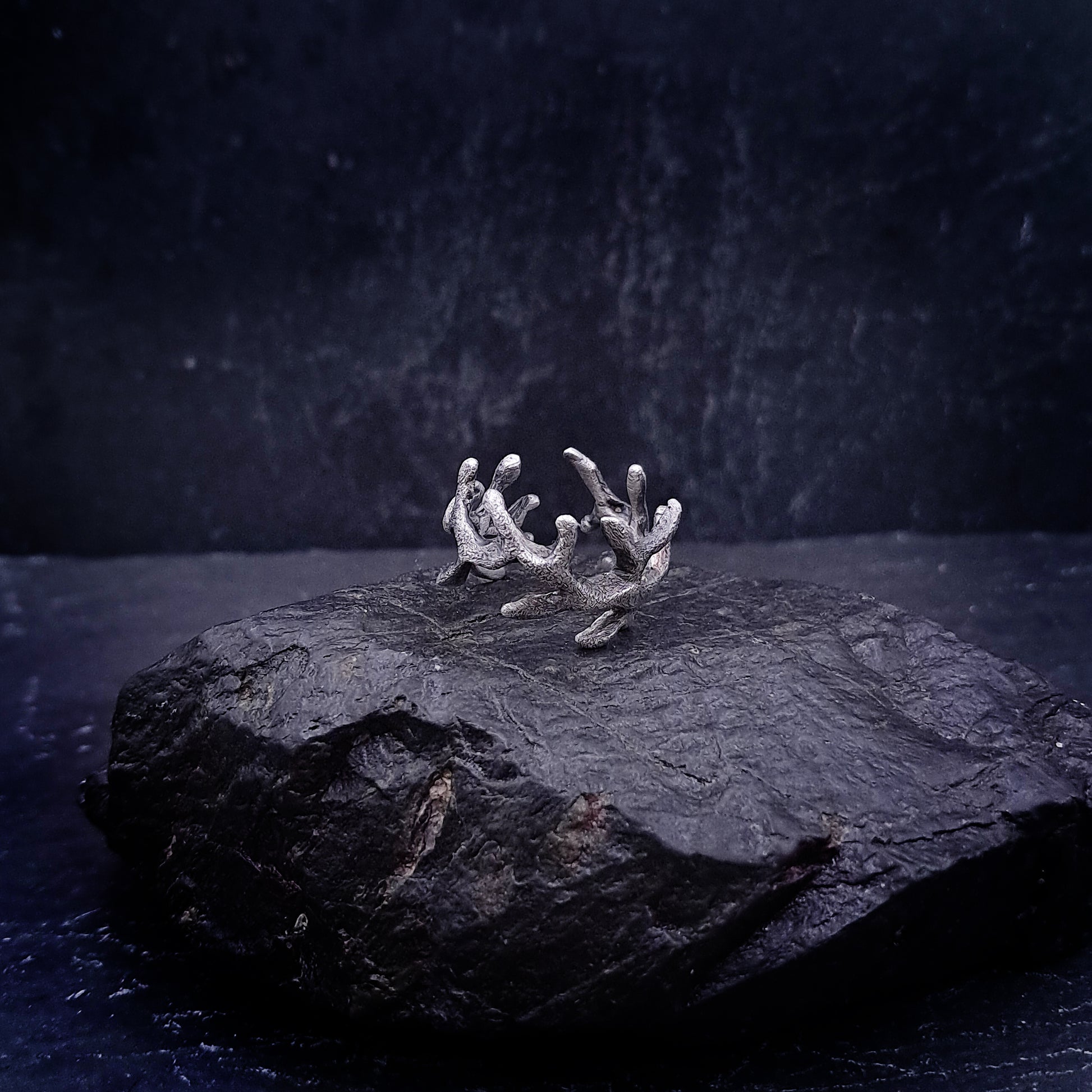 ''Roots'' 925 silver or brass ring